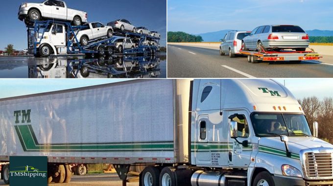 Tmshipping Is an Expert In The Field Of Transporting Services